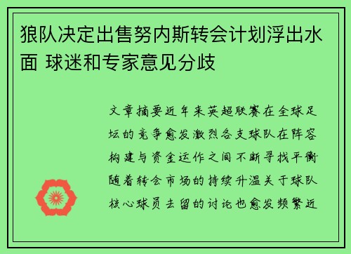 狼队决定出售努内斯转会计划浮出水面 球迷和专家意见分歧